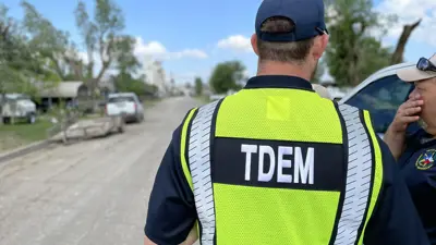 A picture of a man wearing a yellow safety vest that says TDEM on the back as they look at damage along an unknown street that includes downed trees. 