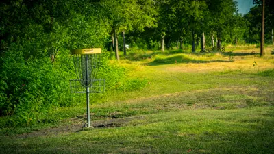 disc golf net surrounded by grass and trees