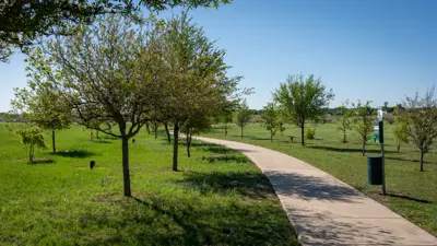 paved walkway surrounded by grass and trees