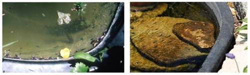 A picture containing text

Description automatically generated