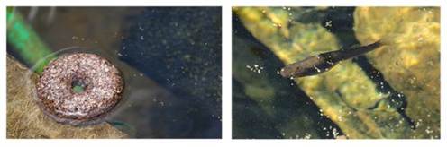 A picture containing text

Description automatically generated