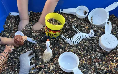 A child's hands play in a sensory tub of seeds and plastic animal figurines.