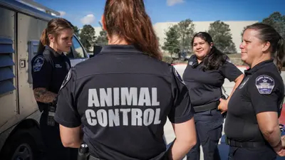 A group of Animal Control Officers stand outside talking to each other with the main focus of the photo being the text on the back of one person's shirt that says 'Animal Control.'