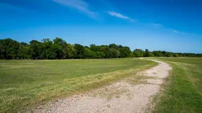 winding rocky dirt path surrounded by grass and trees