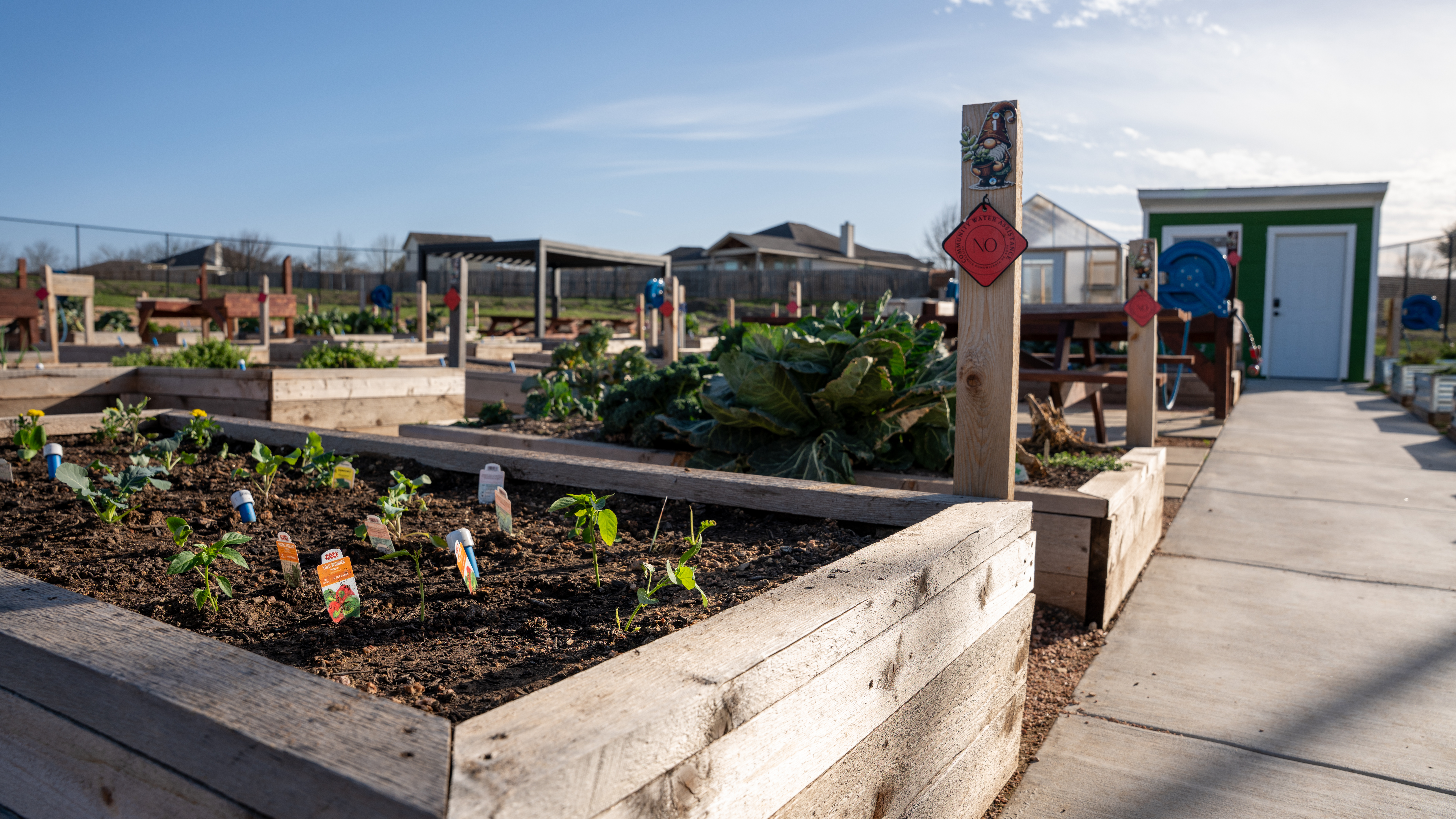 a community garden